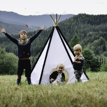 Teepee Mountain Forest
